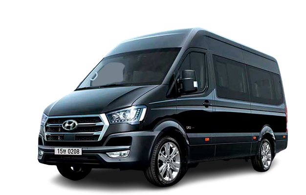 Hyundai Solati H350